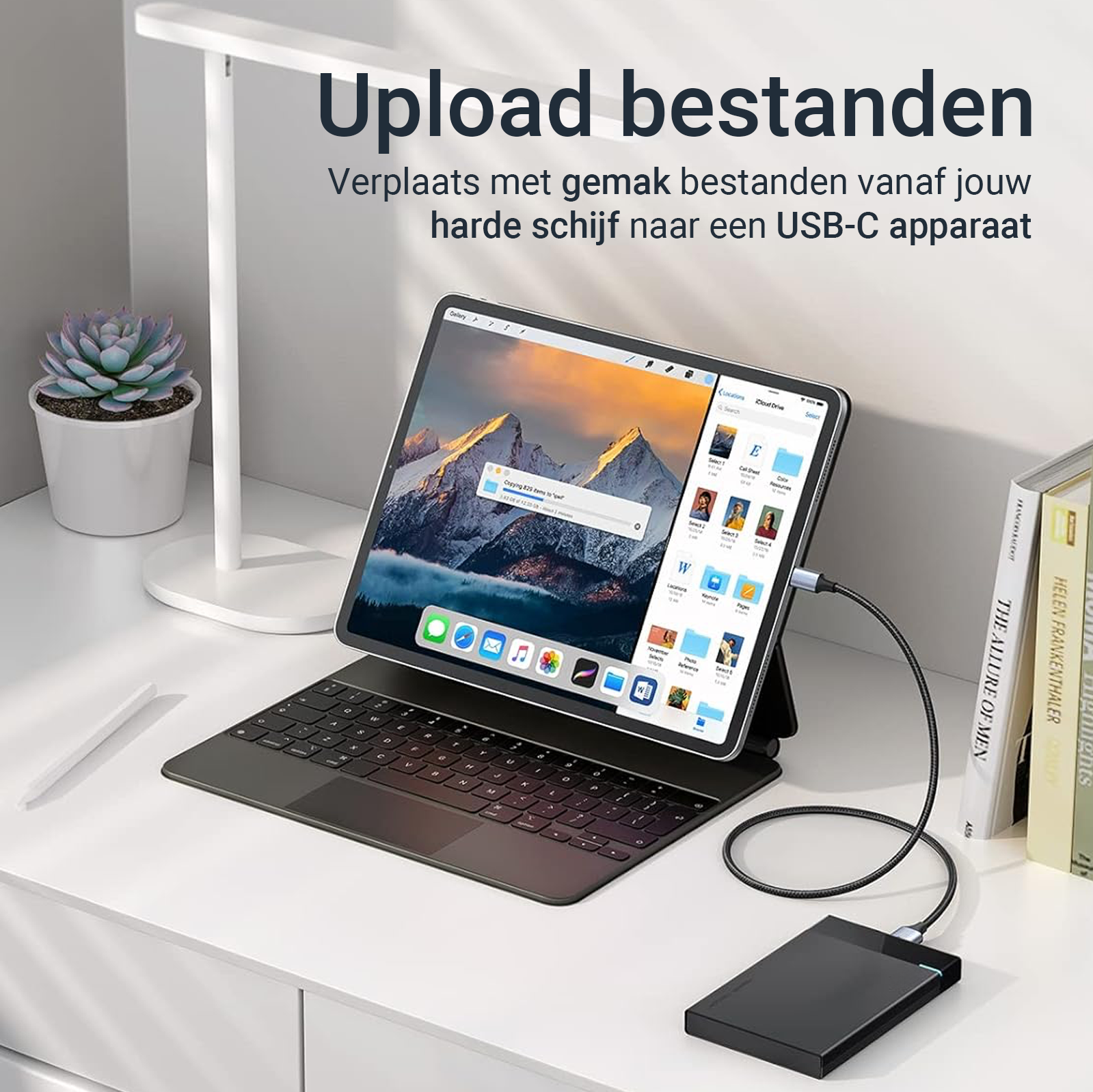 USB-C naar Micro USB-B Kabel - 0.5 Meter - Spacegrey-2